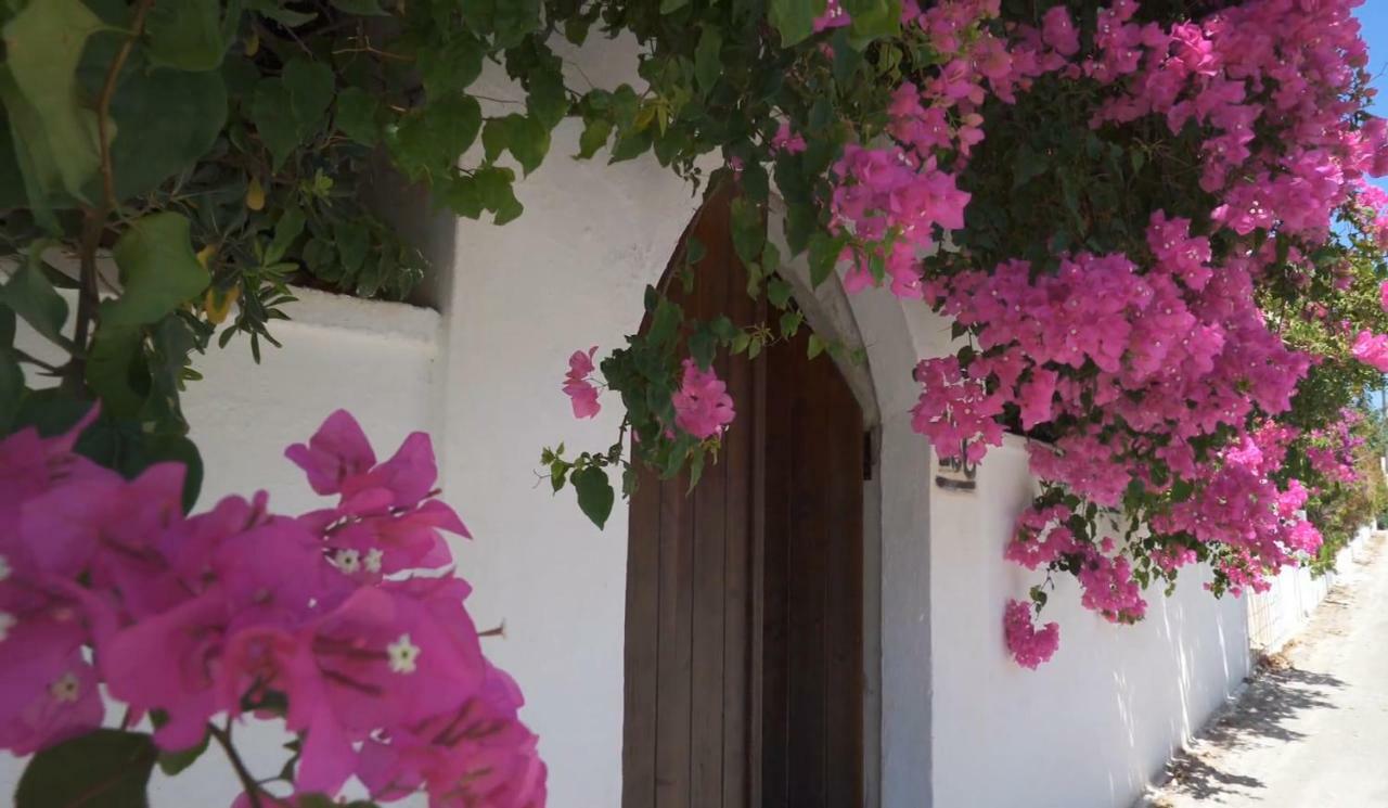 Alexiszorba Villa Плака Екстериор снимка